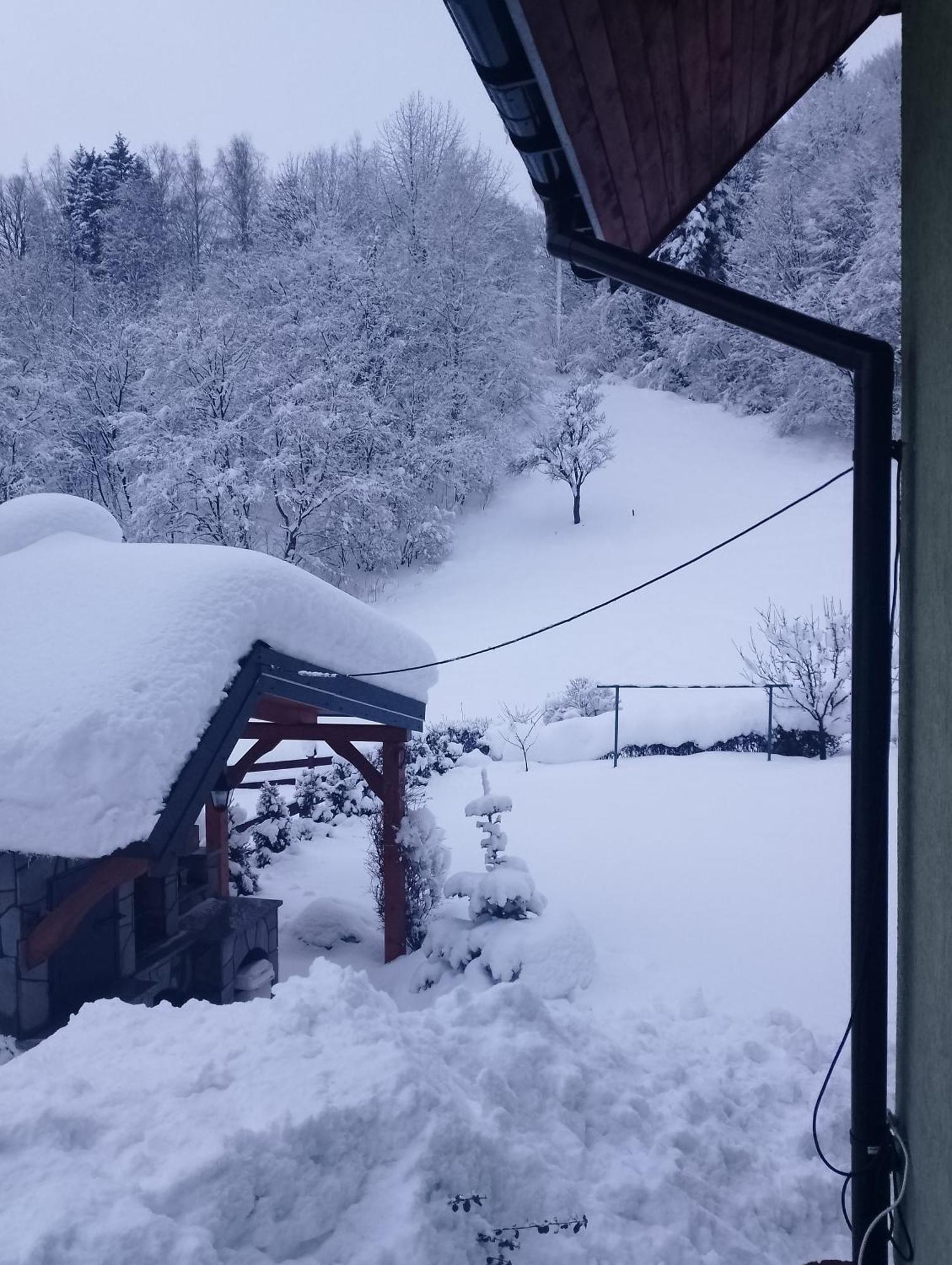 Zakatek Pienin Διαμέρισμα Grywald Εξωτερικό φωτογραφία